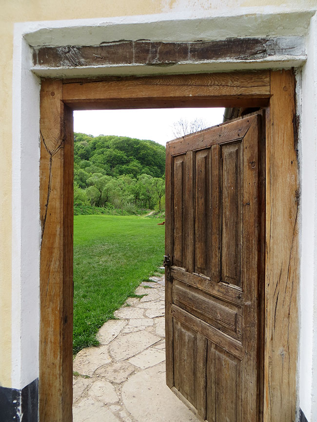 Alte halb geöffnete Holztür mit grüner Wiese dahinter