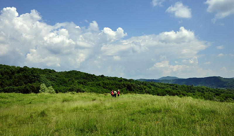 Drei Personen stehen auf einer großen Wiese vor einem Wald