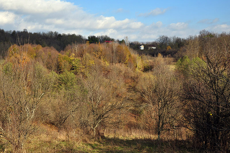 Talfoto im Herbst