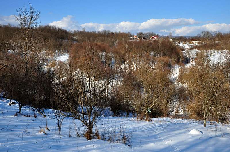 Talfoto im Winter