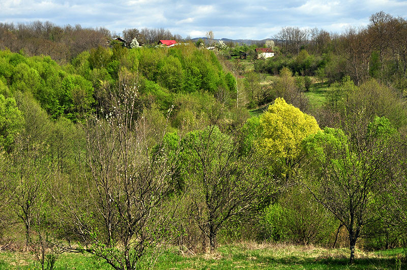 Talfoto im Frühling
