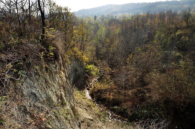 Talfoto im Herbst