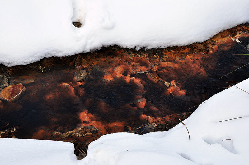 Schwarzes Wasser und weißer Schnee