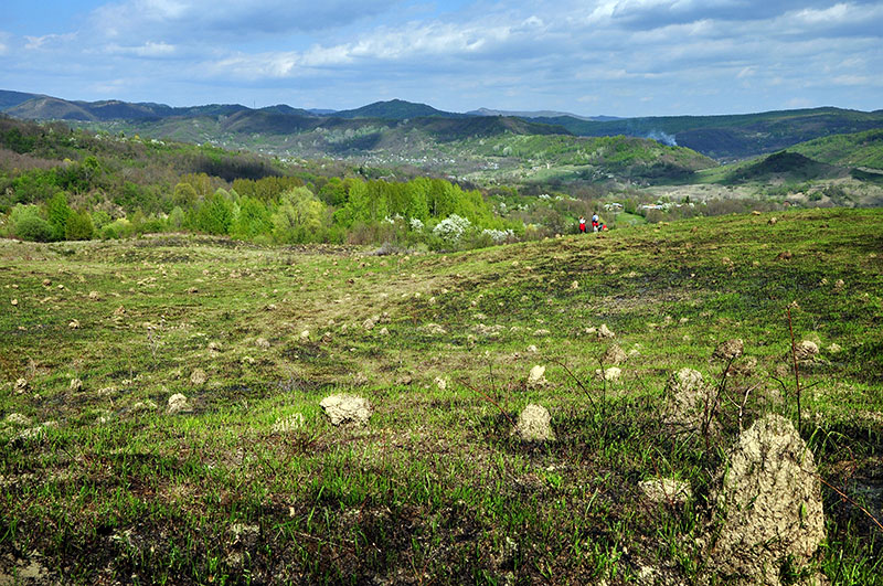 Panoramafoto der Berglandschaft im Frühling