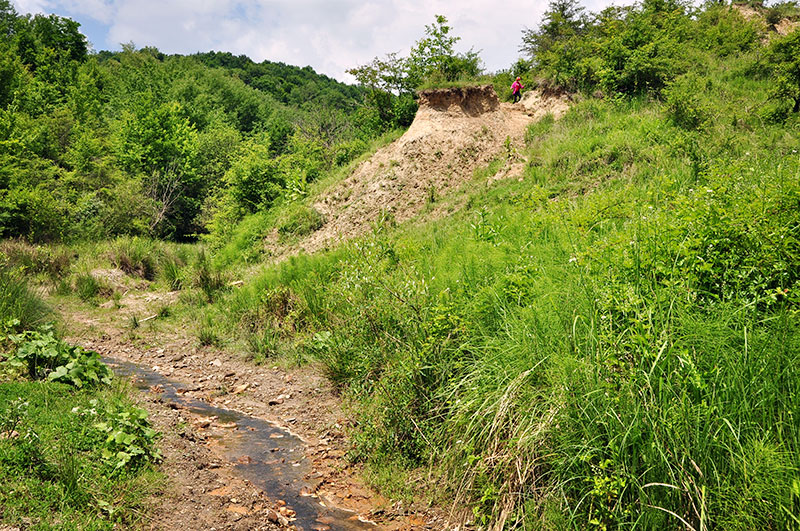 Im Tal schlängelt sich ein kleiner Fluss