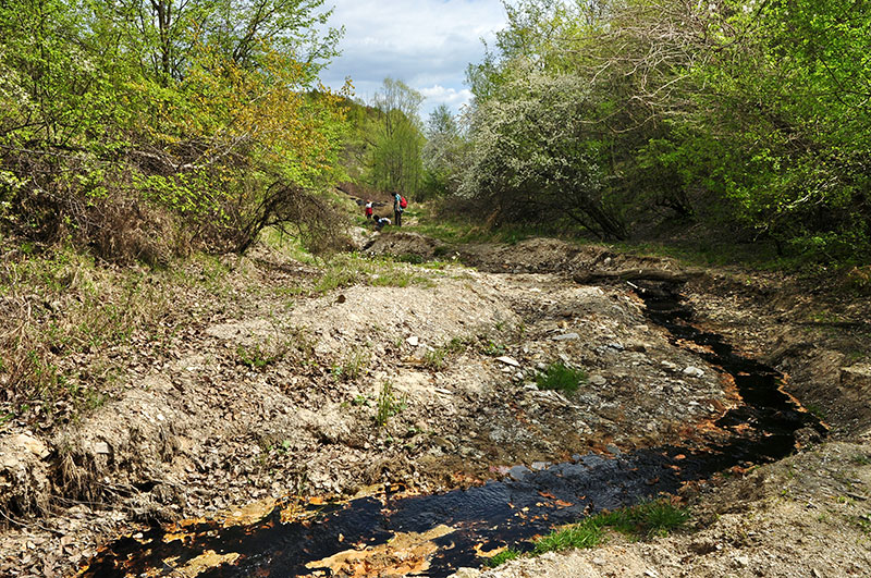 Foto vom Flusstal