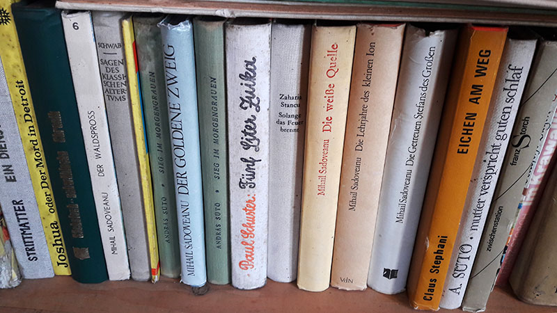 Ausschnitt eines Bücherregals mit ungefähr 20 alten deutschen Büchern