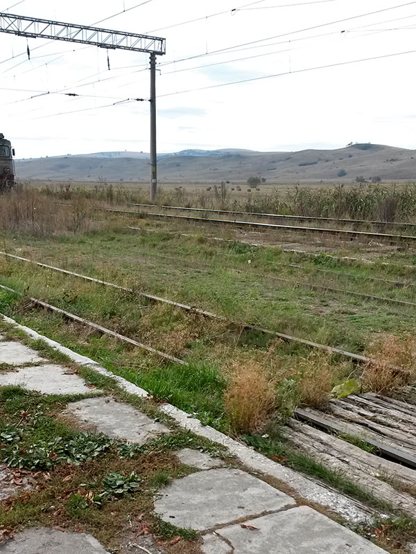 Bahnhof mit vom Gras überwuchtern Gleisen