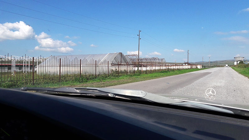 breite Straße mit eingezäunten Stallungen und Gewächshäusern am Straßenrand