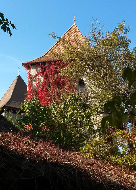 Kirchturmspitze mit herbstlich gefärbten Bäumen davor