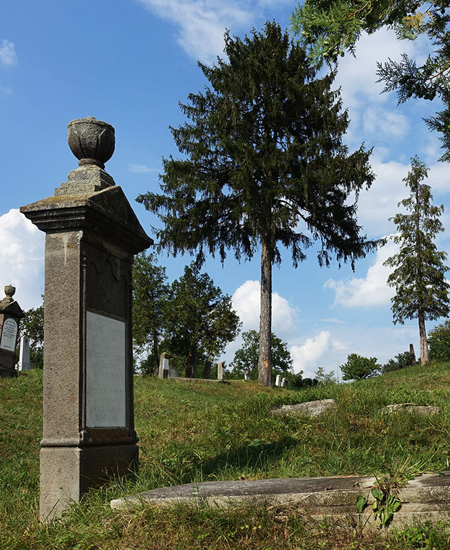 Grab vor einem Baum auf dem evangelischen Friedhof