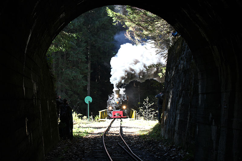 Dampflok vor Tunneleinfahrt