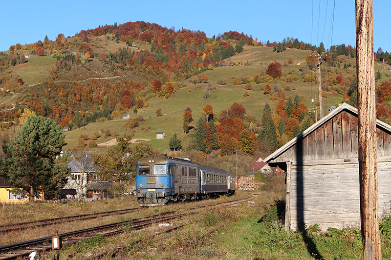 Zug in Herbstlandschaft