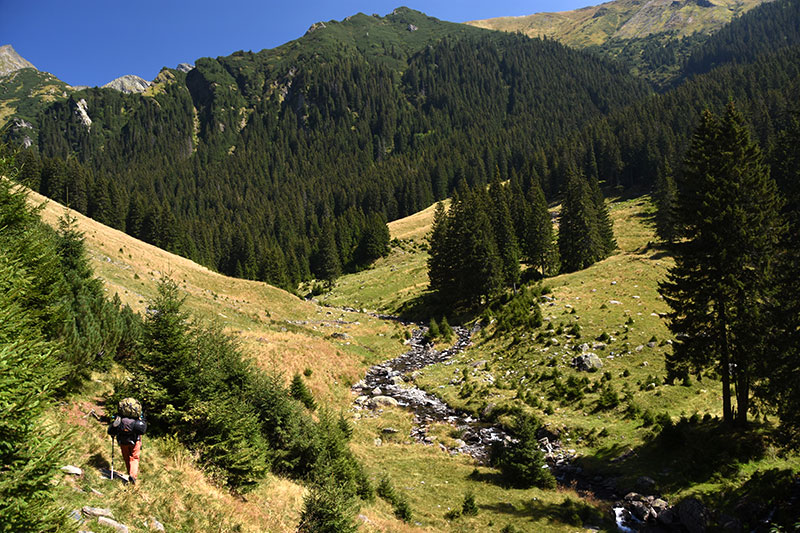 Berglandschaft mit Fluss