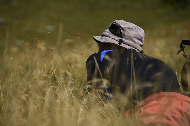 Willi im Gras liegend