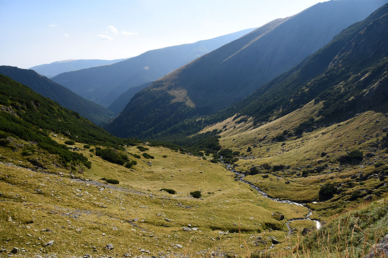 Flusstal mit Waldlandschaft