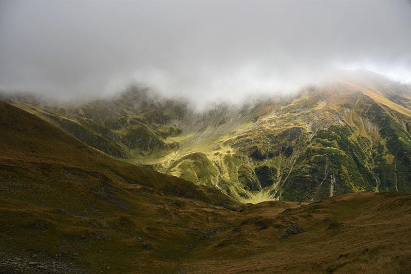 Landschaft im Nebel