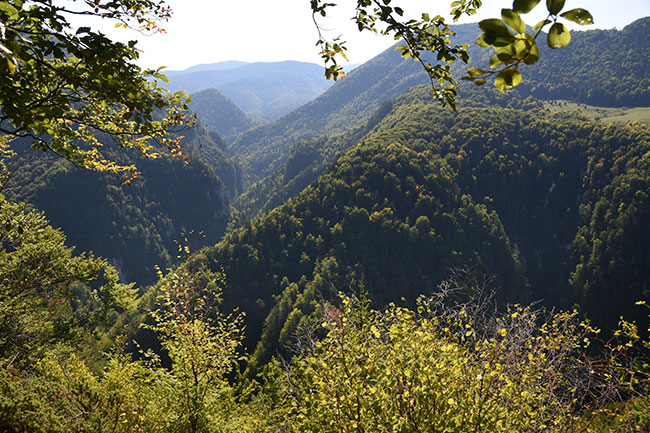 Schlucht