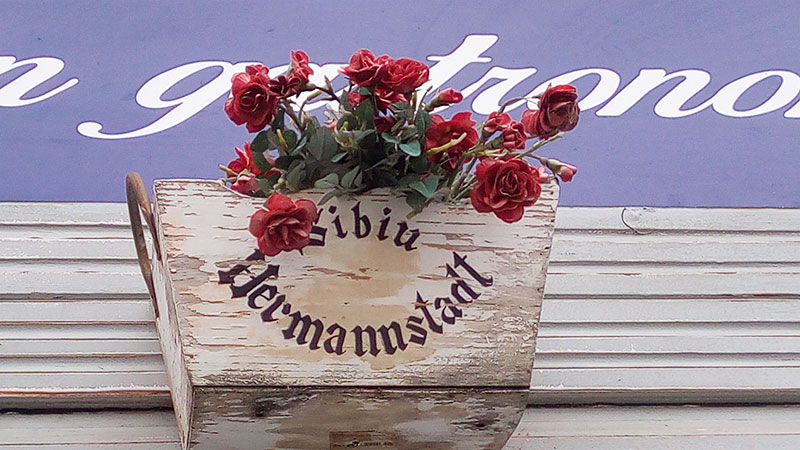 Blumenkasten mit der Aufschrift Sibiu und Hermannstadt