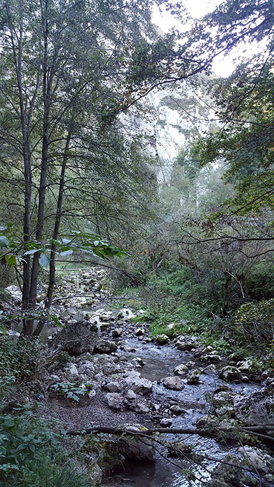 kleiner Fluss in Berglandschaft