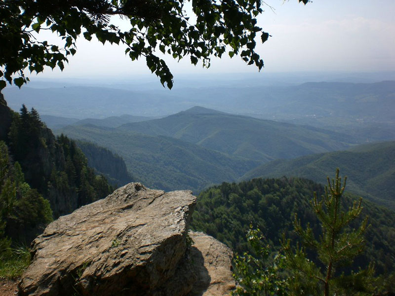 Panoramafoto mit bewaldeten Berghügeln