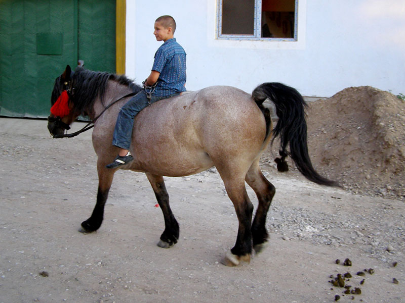 Junge reitet auf einem Pferd durchs Dorf
