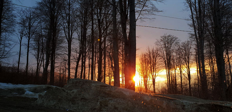 Sonne scheint durch den Winterwald