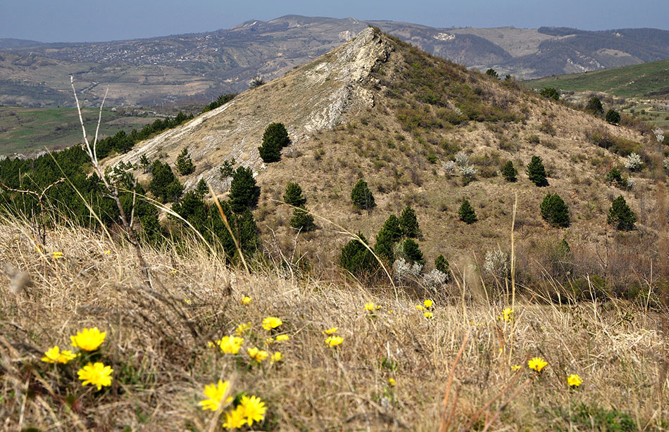 Hügel in der Bildmitte mit Kalksteinfelsen