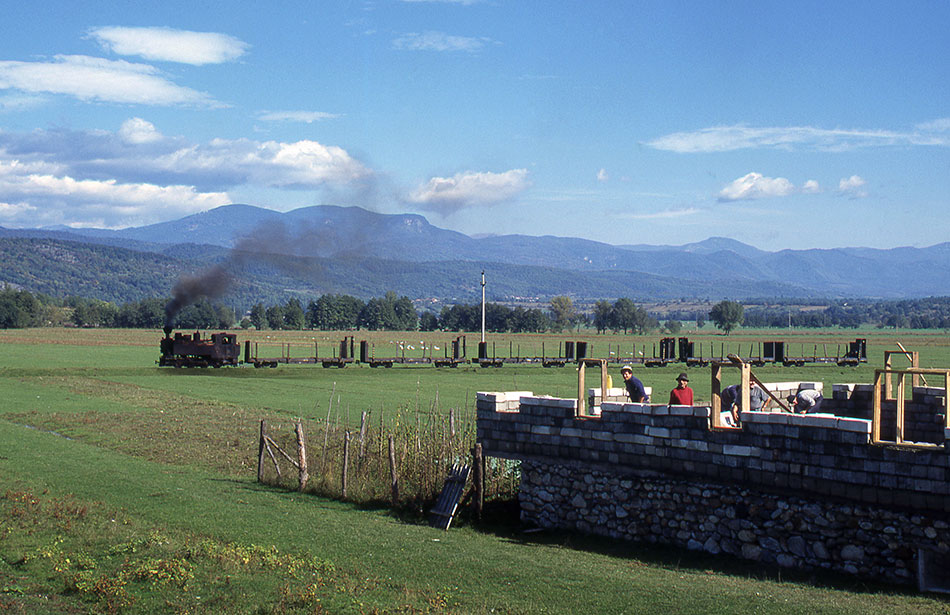 Zug fährt durch Landschaft