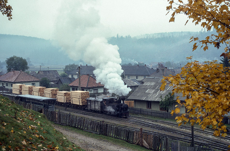 Zug vor Sägewerk