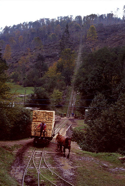 Waggon mit Holt wird von einem Pferd gezogen