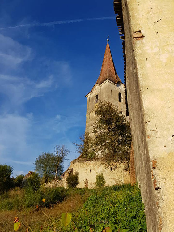 Mauer der Kirchenburg mit Kirchturm