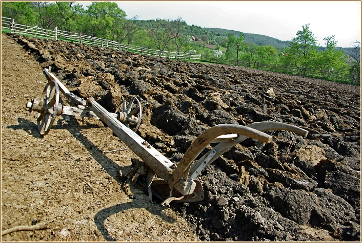 Pflug auf Feld