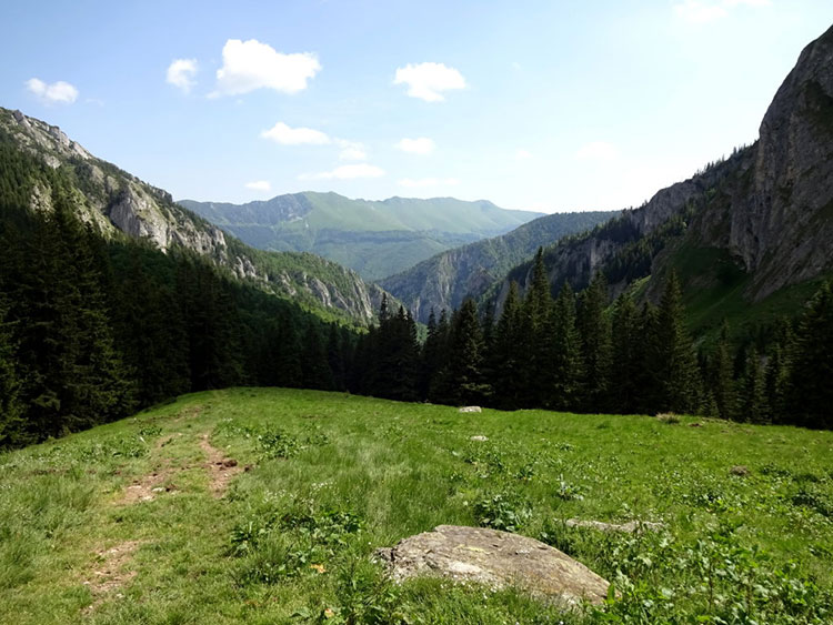 Bergwiese mit Osleamassiv im Hintergrund