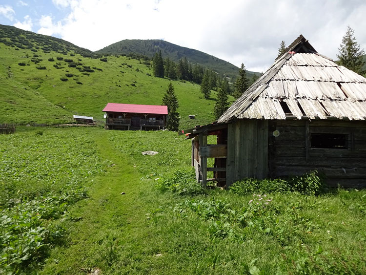 Hirtenhütte