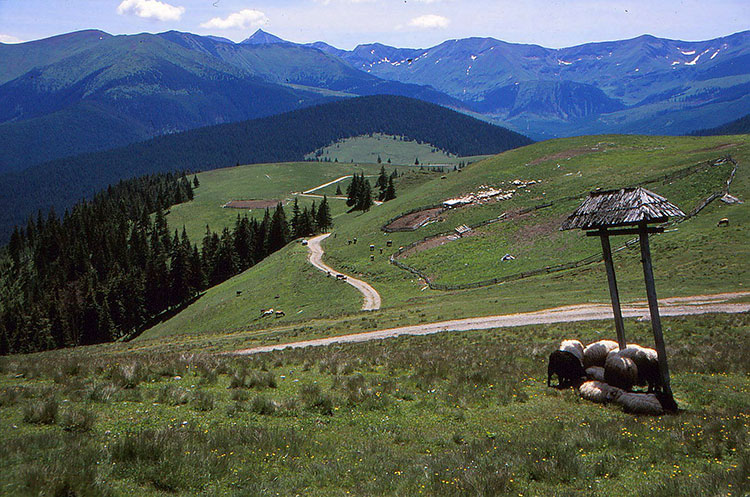 Foto von der Berglandschaft