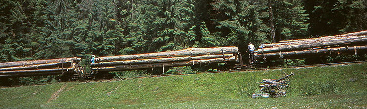 Foto  eines fahrenden Holzzuges