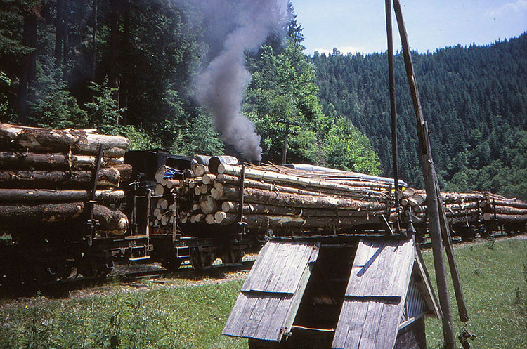 Foto von beladenen Holzwaggons vor Dampflok