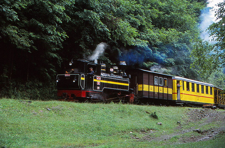 Foto von Touristenzug mit Dampflok