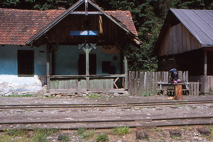 Foto der Bahnstation Botizu