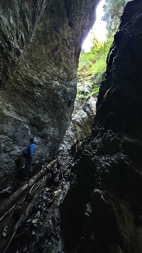 Alexander in einer engen Schlucht