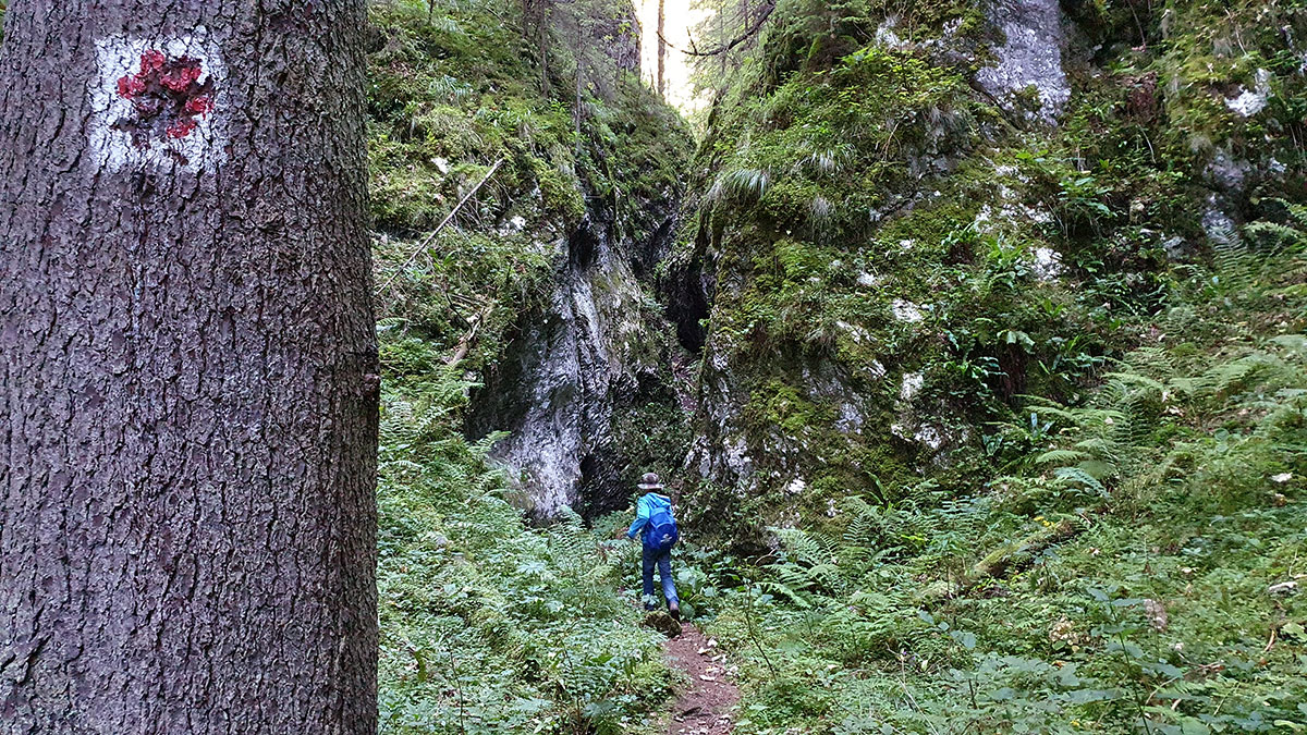 Alexander wandert durch die Klamm