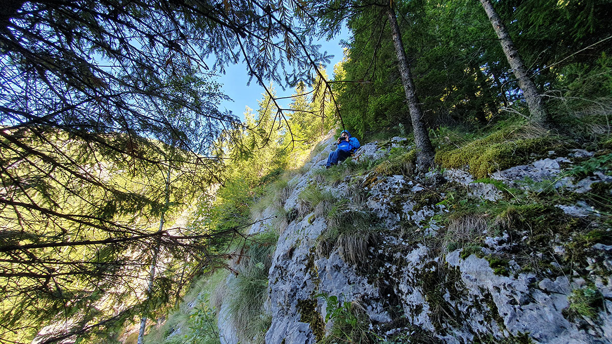 alexander sitzt auf einem Felsen