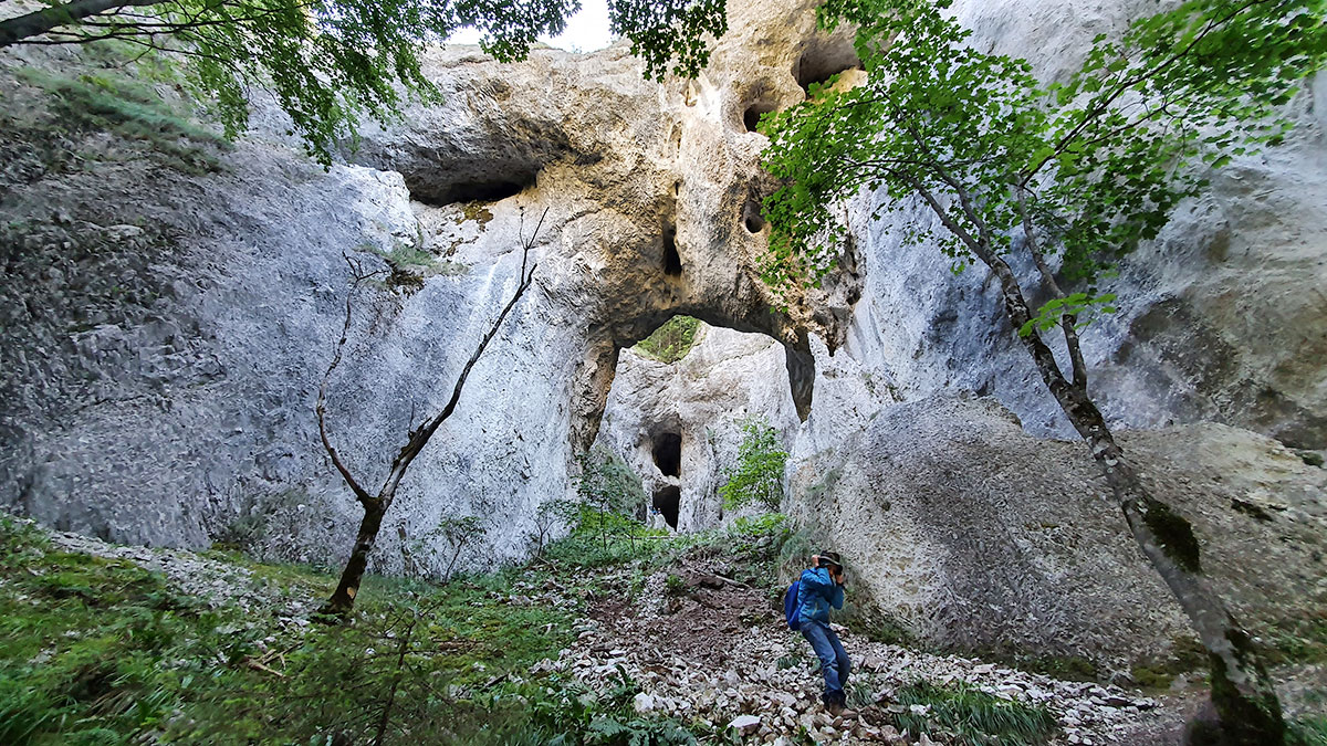 Alexander vor Steintor