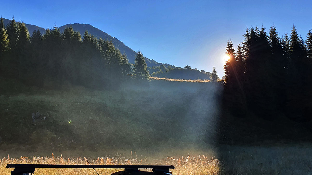 Wiese in aufgehender Sonne