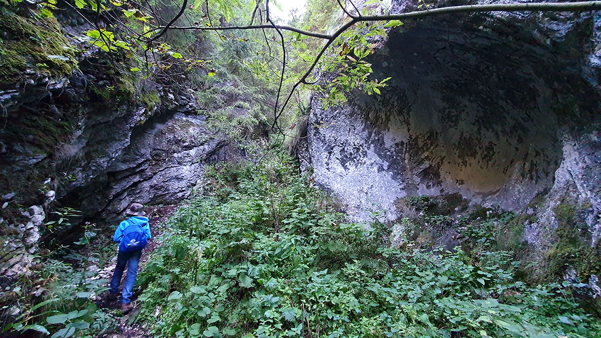 Alexander vor Felswand