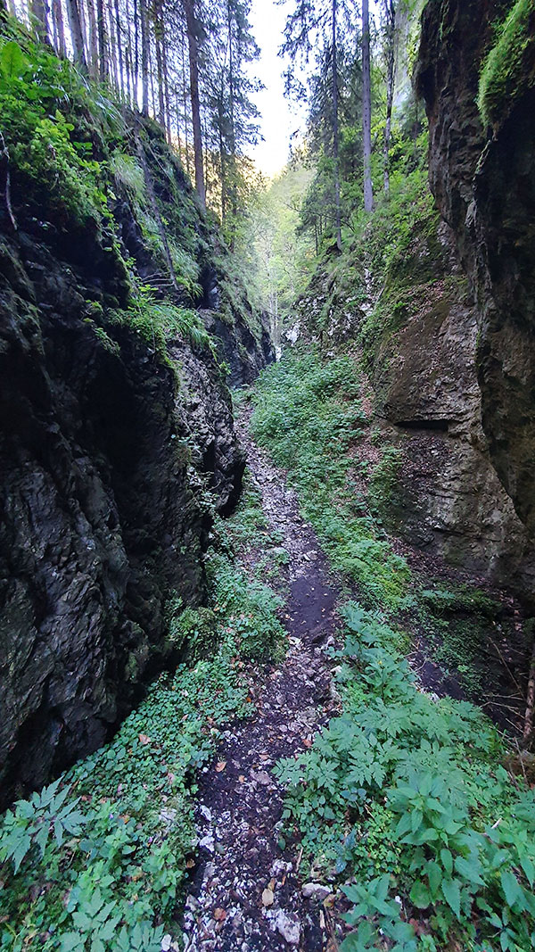schmaler Weg durch die Klamm
