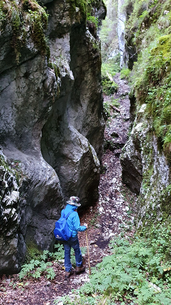 Alexander wandert durch die Klamm