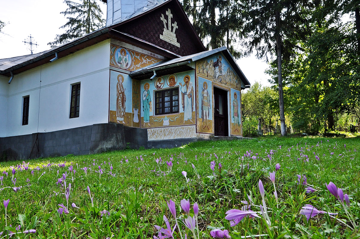 Herbstzeitlose vor Kirche