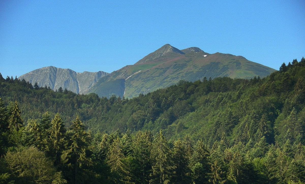 Berge des Fagrasch